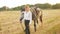 female rider walks with her gray horse in a field at sunset. Love for the animal, friendship, respect, laughter