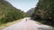 Female road cyclist pushing pedals on bicycle up an asphalt road in mountains. Professional road cyclist riding on bike, hard trai