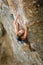 Female Rock Climber