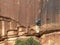 Female rock climber crack climbing on a rock face at canyonlands, utah