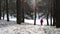 Female runner jogging in cold winter forest wearing warm sporty running clothing and gloves.