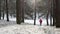 Female runner jogging in cold winter forest wearing warm sporty running clothing and gloves.