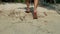 Female running feet on the sand