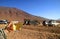 Female`s hand holding a cup of morning tea at the Chile-Bolivia border with many off road vans for Bolivia Altiplano adventure