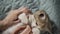 Female's hand stroking a striped baby cat. Sleeping little cat, adorable tired animal portrait.