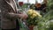 Female shopper gardener chooses decorative blooming house flowers in pots on shelves of flower shop background of green