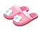 Female slippers, home footwear, isolated pair for women