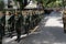 Female soldiers of the Brazilian army parading