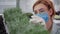 female specialist in a medical mask and gloves checks micro-greens grown in container on background of shelves, close-up