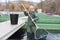 Female standing in fish tank fishing for sturgeon with landing net