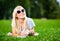 Female student in sunglasses with book on the grass