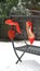 Female stylish accessories outfit set layout: luxury red shoes and textile heart on metal chair and snow fir tree background.