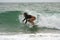 Female Surfer Catches Wave Off Florida Coast