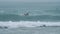 Female surfer paddling in the sea with huge breaking surf waves on a summer day.