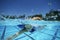 Female Swimmer Swimming In Pool