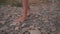 Female tanned legs barefoot walk on the rocky seashore, the girl is uncertain, stumbling.