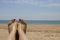 Female tanned legs with a bright pedicure on the sandy beach