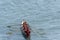 Female team on rowing boat at Clovelly, Devon