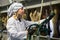 Female technician dairymaid operating machine milking in livestock barn