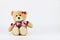 Female teddy bear with camera isolated and white background