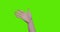 Female teen hand show hello gesture on green screen