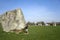 Female tourist avebury ring wiltshire uk