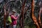 A female tourist checking her photos on her camera\\\'s screen display in a paper tree forest