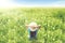 Female tourist enjoying beautiful flower field