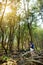 Female tourist enjoying stunning view of densy pine forest of Pololu Valley on Big Island of Hawaii