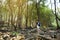 Female tourist enjoying stunning view of densy pine forest of Pololu Valley on Big Island of Hawaii