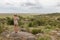 Female tourist looking through binoculars on African safari in Serengeti national park. Tanzania, Afrika.