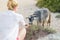 Female tourist observing cute grazing goat in pristine Mediterranean landscape near Balos beach, Crete, Greece