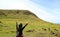 Female tourist raising arms excited to visit Rano Raraku volcano, quarry of the famous Moai statue on Easter Island of Chile