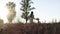 Female tourist in sundress running on lavender field enjoying trip to France and exploring village environment, woman on