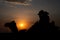 Female tourist taking picture of sunset while riding camel, Camelus dromedarius, at sand dunes of Thar desert, Rajasthan, India.