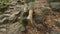 A female tourist is walking along a stony path, closeup legs