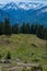 Female trailrunning in the mountains of Allgau near Oberstdorf, Germany