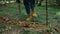 Female traveler walking in summer forest. Hiker using trekking poles outdoor