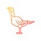 Female turkey gradient linear vector icon