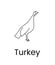 Female turkey icon line in vector, illustration of poultry.