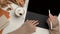 Female using digital tablet with keyboard on worktable with stationery and cup of beverage