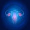 Female uterus abstract blue technology background