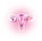 Female uterus and ovaries