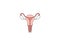 Female, uterus, womb icon. Vector illustration. Flat design