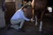 Female vet examining horse leg in stable