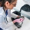 A female veterinarian gives a pill to a sick pet cat in an animal hospital