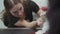 Female veterinarian inspects ginger cat at the clinic