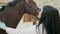 Female veterinarian petting horse in stable.