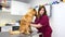 Female veterinary doctor using stethoscope for cute dog examination