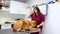 Female veterinary doctor using stethoscope for cute dog examination